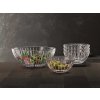 2730195 PR Spiegelau Milano Bowl Set 01