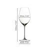 644900028 dimensions veritas chapagne glass