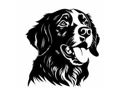 labrador