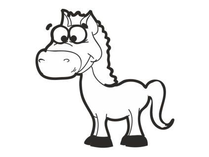 kůň