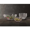 2730195 PR Spiegelau Milano Bowl Set 01