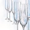 Crystalex dekorovane Sklenice na sekt sampanske šumivé víno VIOLA ELEMENTS 190 ml 6 ks