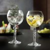 RCR sklenice ALKEMIST GIN TONIC