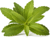 Jams with STEVIA