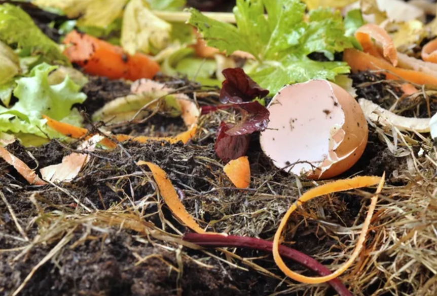 7 dôvodov pre kompostovanie