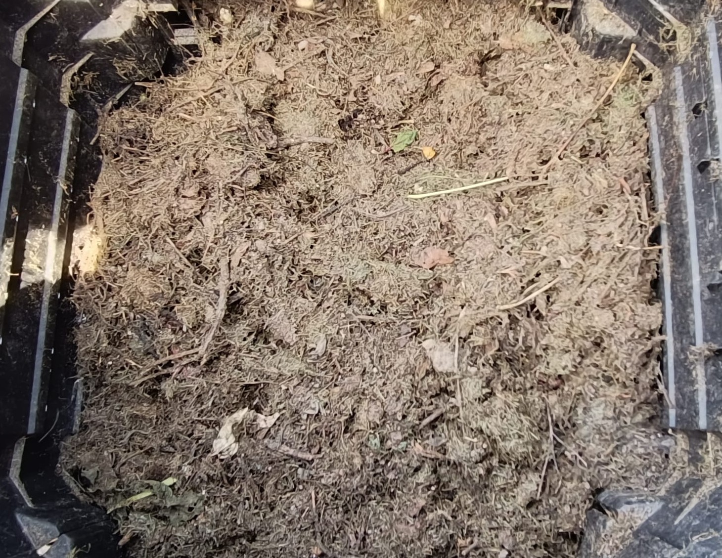 Ako správne kompostovať v kompostéri