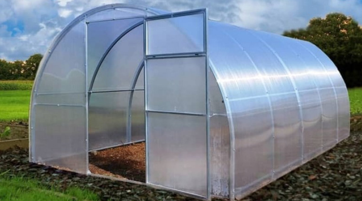 Pestovanie rastlín v skleníku. Tipy a rady