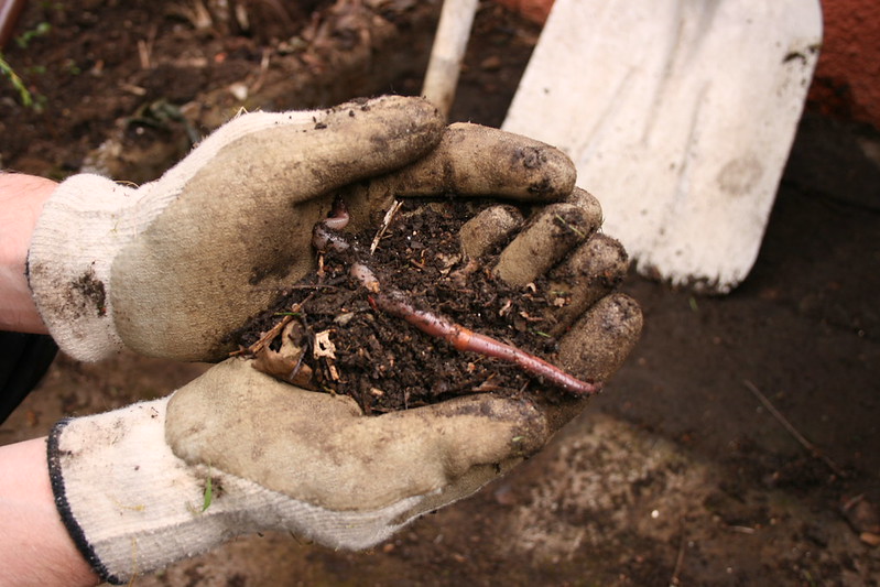 Kompostovanie v záhrade krok za krokom