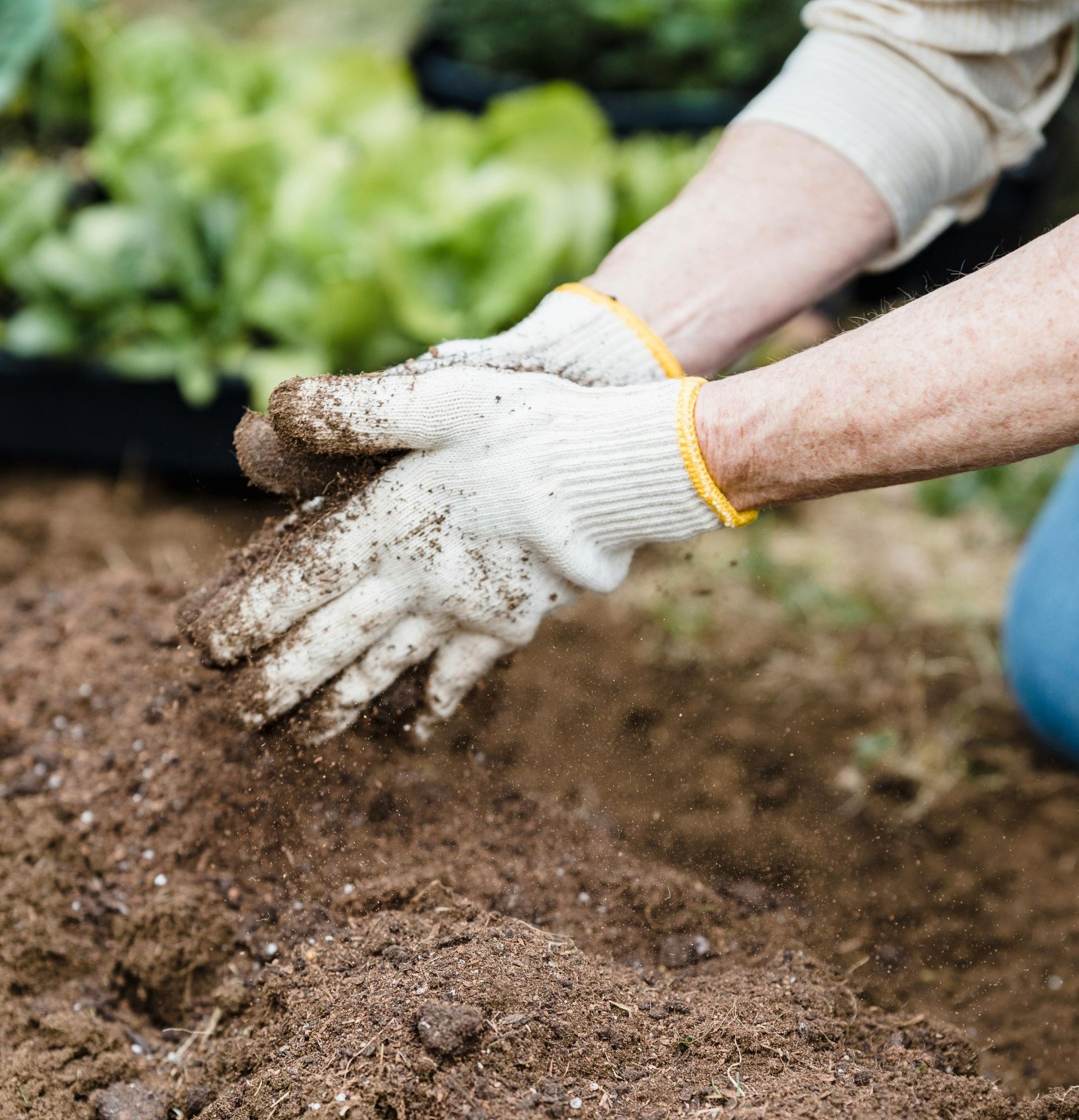 Marec v záhrade – akú zeleninu a kvety už môžete sadiť?
