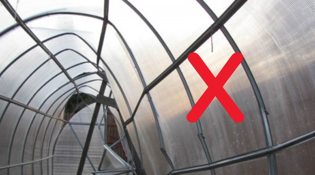 Prečo nekupovať lacné čínske sleníky?