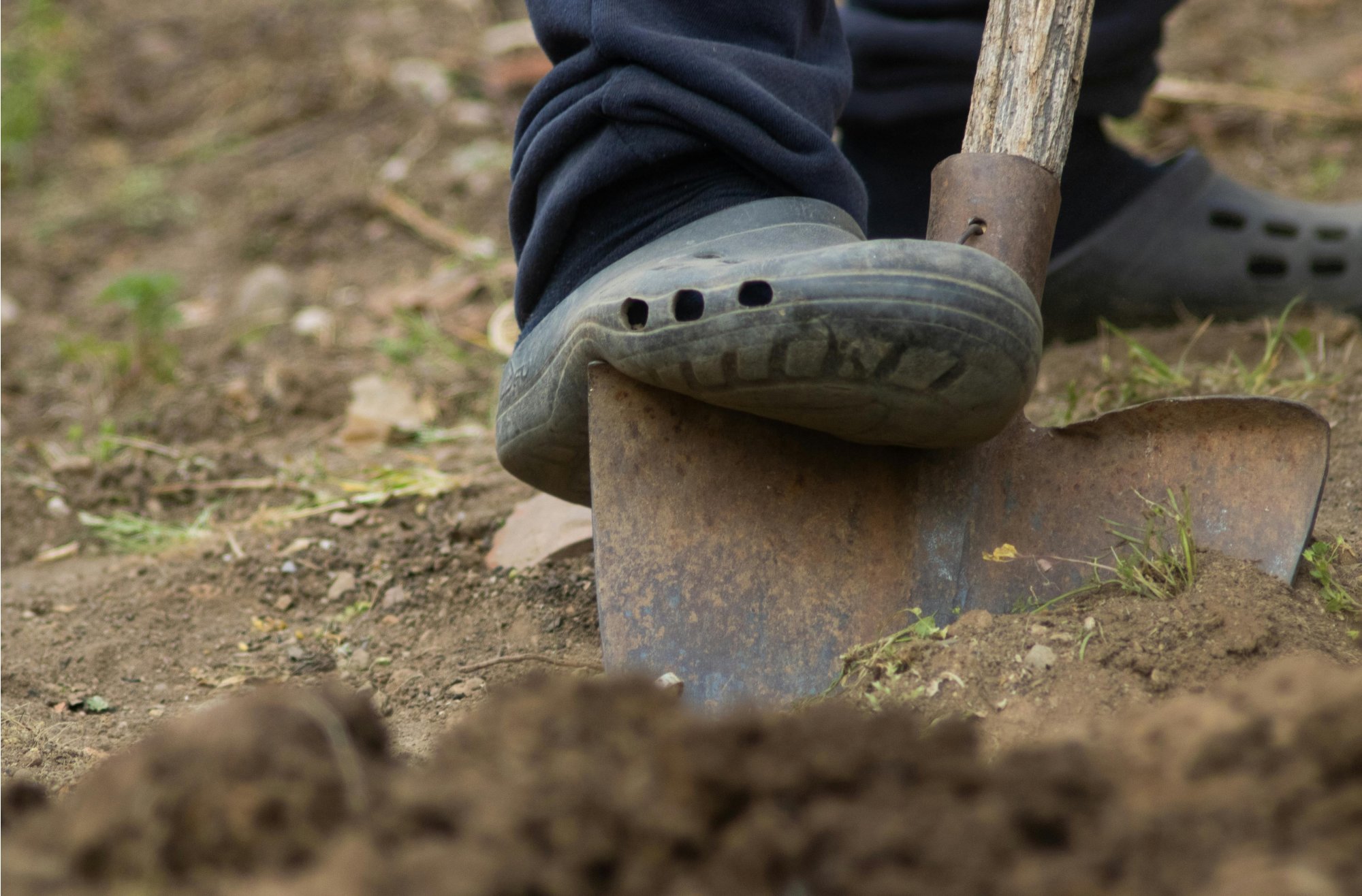 Rýľovanie záhrady — kedy áno, kedy nie je nutné a ako postupovať?