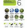 ACHIL 6