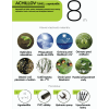 ACHIL 8
