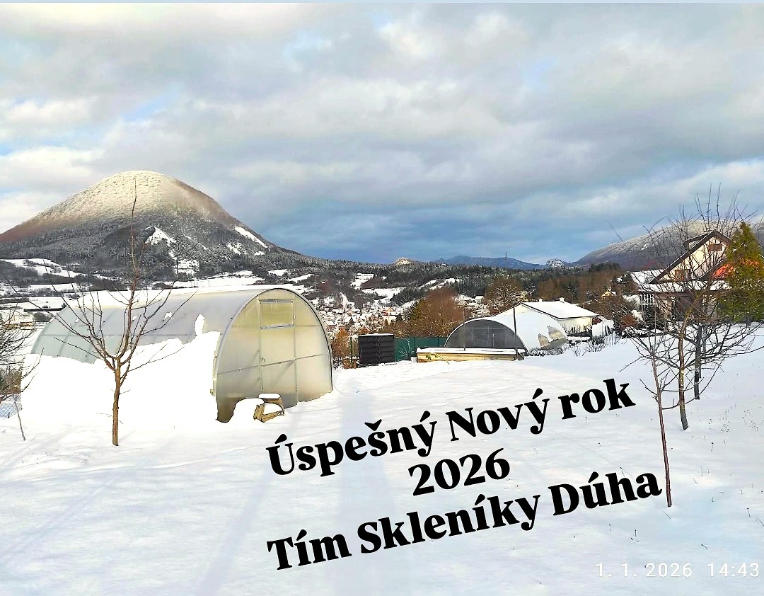 skleník zima