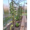 Sklenik AGRO 3 ROVNOSTENNÝ