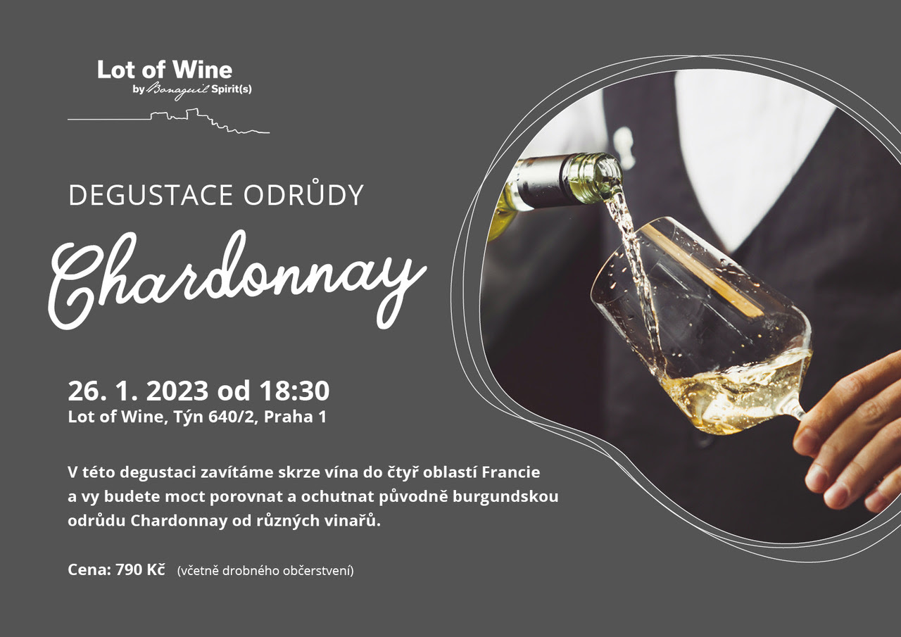 26.1,2023 DEGUSTACE CHARDONNAY - LOT OF WINE, PRAHA 1