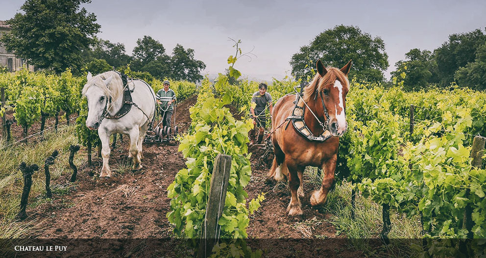 Chateau Le Puy