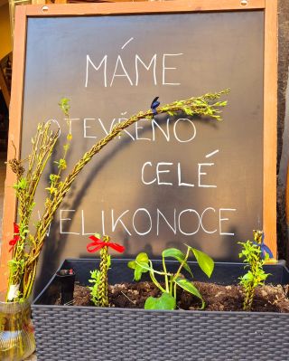 🐣 Velikonoce v Lot of Wine! Přípravy jsou v plném proudu – máme otevřeno celé Velikonoce a těšíme se na vás! 🍷 Čeká vás...