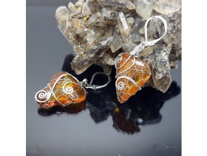 Divočina: náušnice jantar