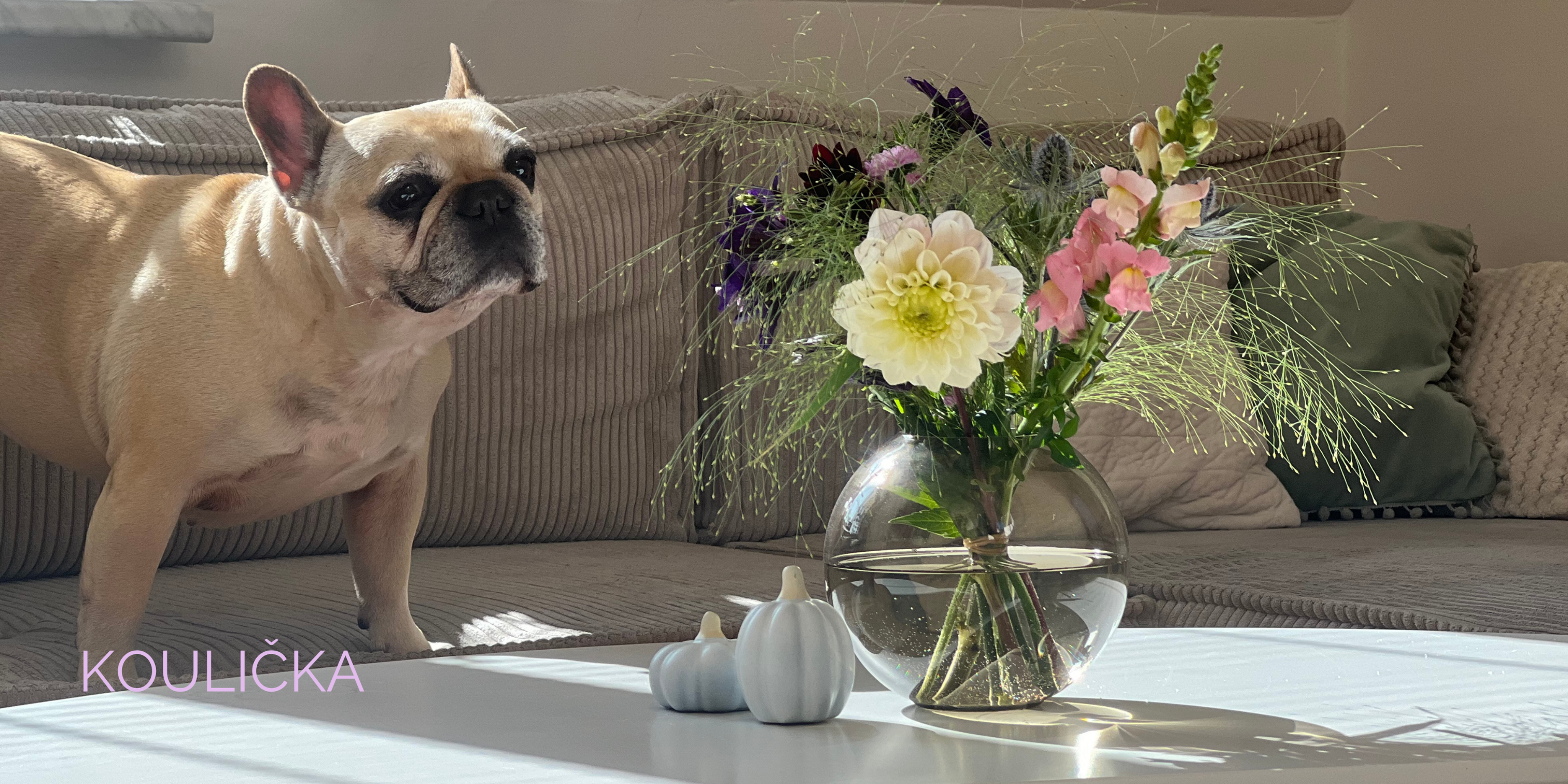 Jak využít ručně foukané vázy?