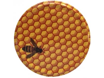 Včela malovaná