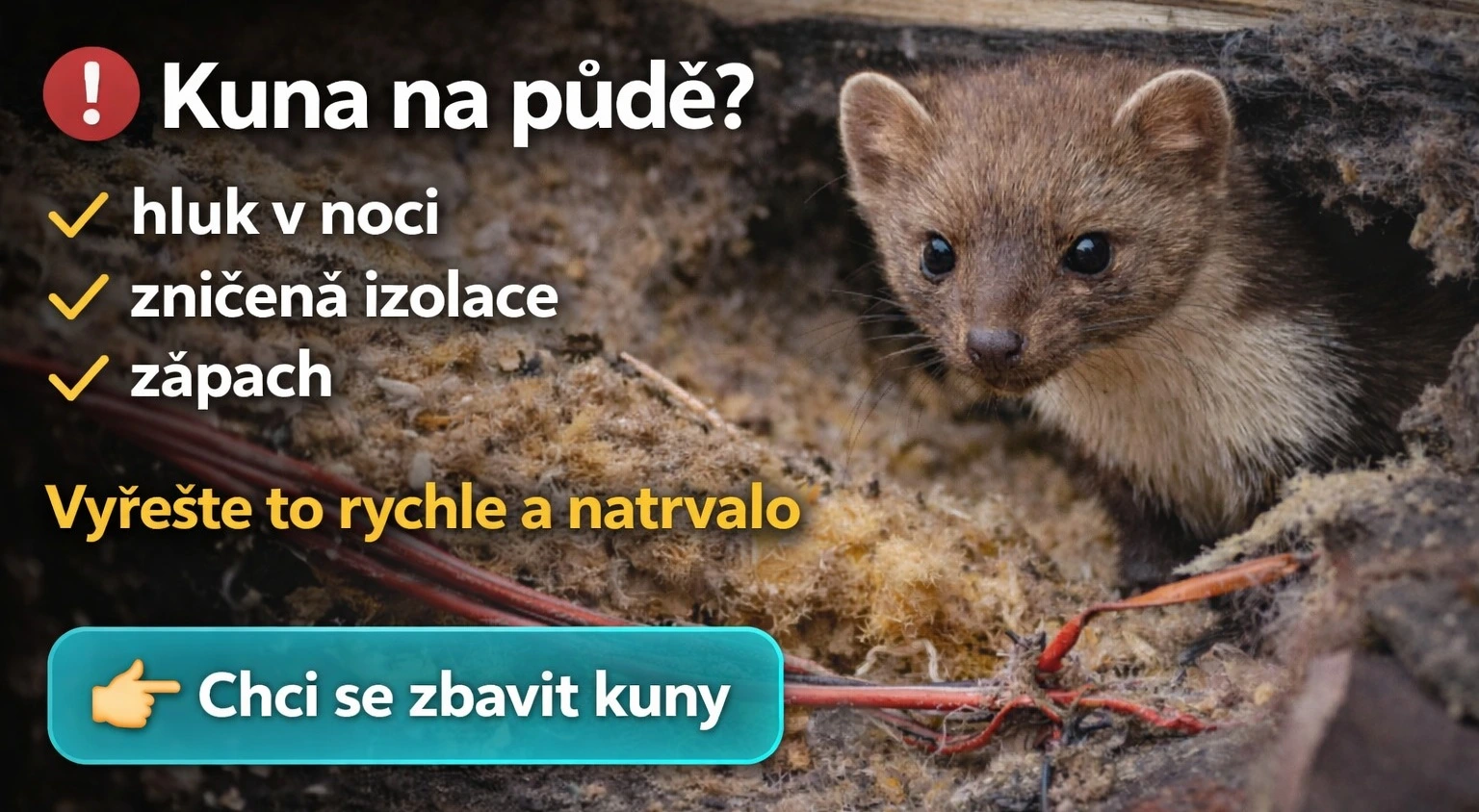 Kompletní řešení kuny na půdě
