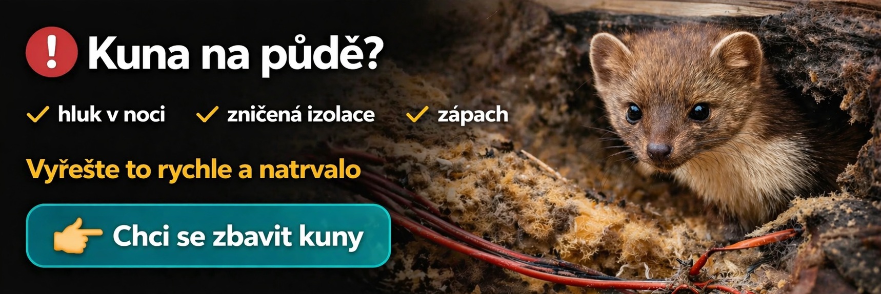 Kompletní řešení kuny na půdě