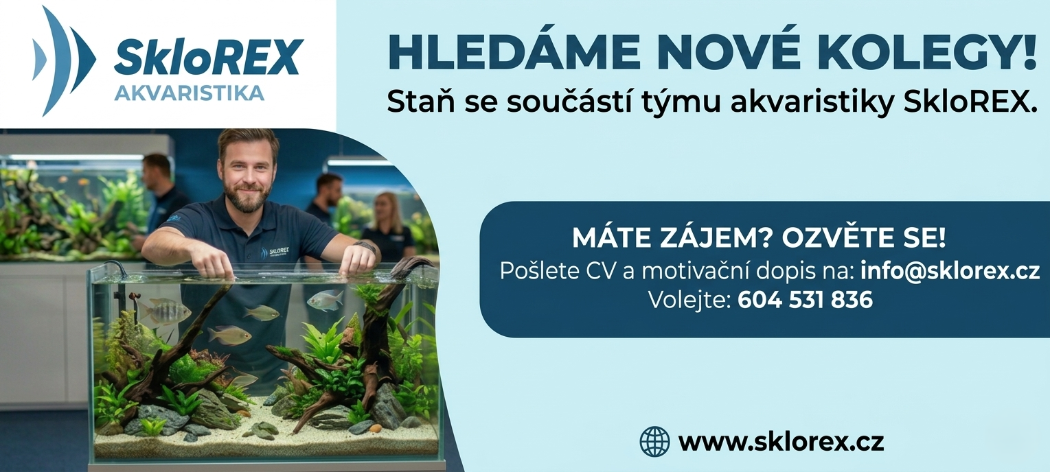 Volné pracovní místo