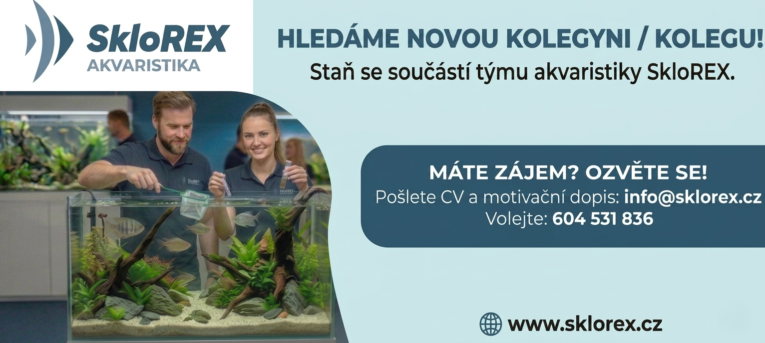 Volné pracovní místo