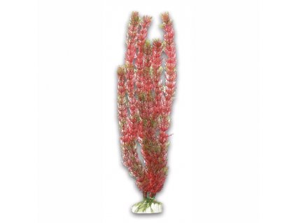 Plastová rostlina Foxtail 40 cm