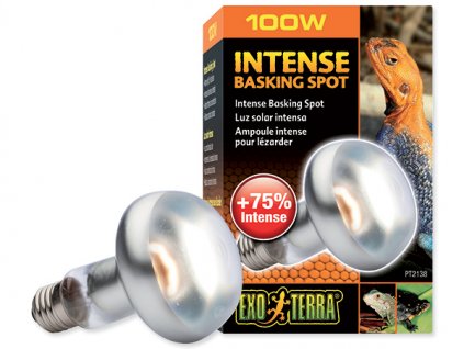 Žárovka EXO TERRA Intense Basking Spot 100 W