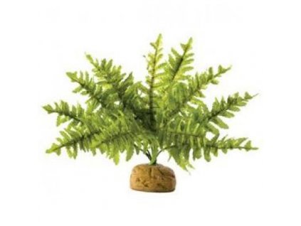 Rostlina EXO TERRA Boston Fern malá