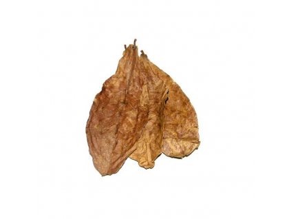 Listy mandlovníku mořského (Terminalia catappa) 100 g