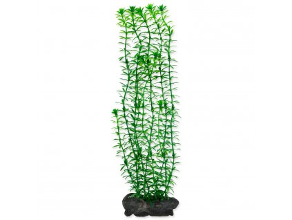 TETRA umělá rostlina Anacharis L 30 cm