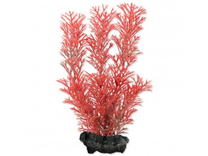 TETRA umělá rostlina Foxtail Red S 15 cm