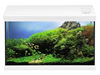 Aquaclass 66 frontal bef weiss