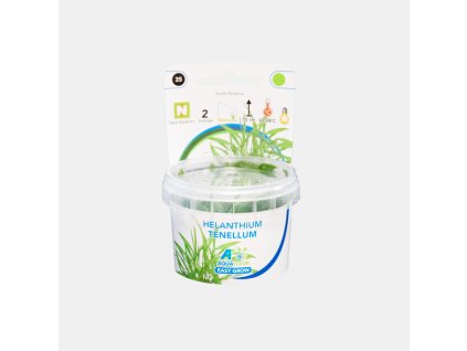 HELANTHIUM TENELLUM PRODUCT b01c6