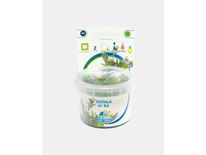 ROTALA H RA EASY GROW1