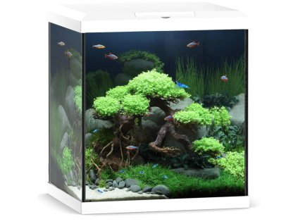 Akvarijní set JUWEL Vio Cube 54 litr - bílý