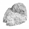 Kámen do akvária ARSTONE F 60 x 43 x 21 cm