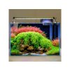 Rostlinné akvárium nasvětlené pomocí LED osvětlení TWINSTAR B-Line