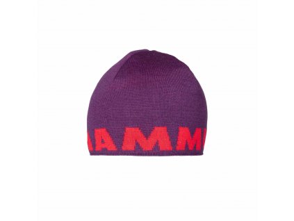 MAMMUT Logo Beanie