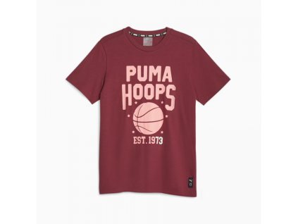 PUMA Pán. tričko Blueprint Q4 Graphic