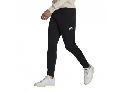 adidas Pán. nohavice ENT22 TR PNT