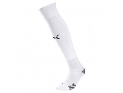 Puma  teamFINAL 21 Socks