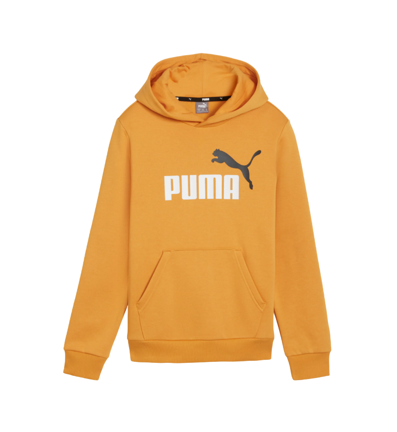 PUMA Chl. mikina s kapucňou ESS 2 Col Bi Farba: Hnedá, Veľkosť: 176