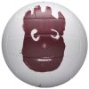 Wilson volejbalová lopta "MR.WILSON" (Farba Biela, Veľkosť 5)