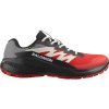 SALOMON Pánska bežecká obuv Alphaglide GTX
