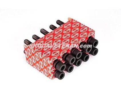 Skrutka hlavy Felicia/Octavia 1.6 sada M11x110 -> 10ks ERLING