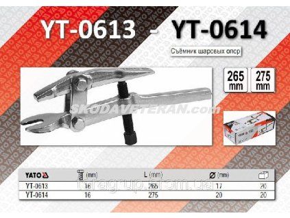 YT 0613